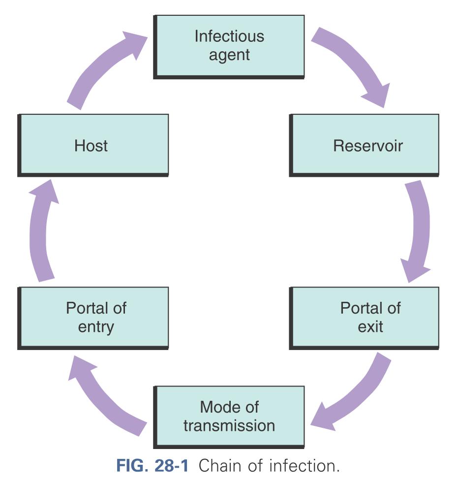 Chain of infection