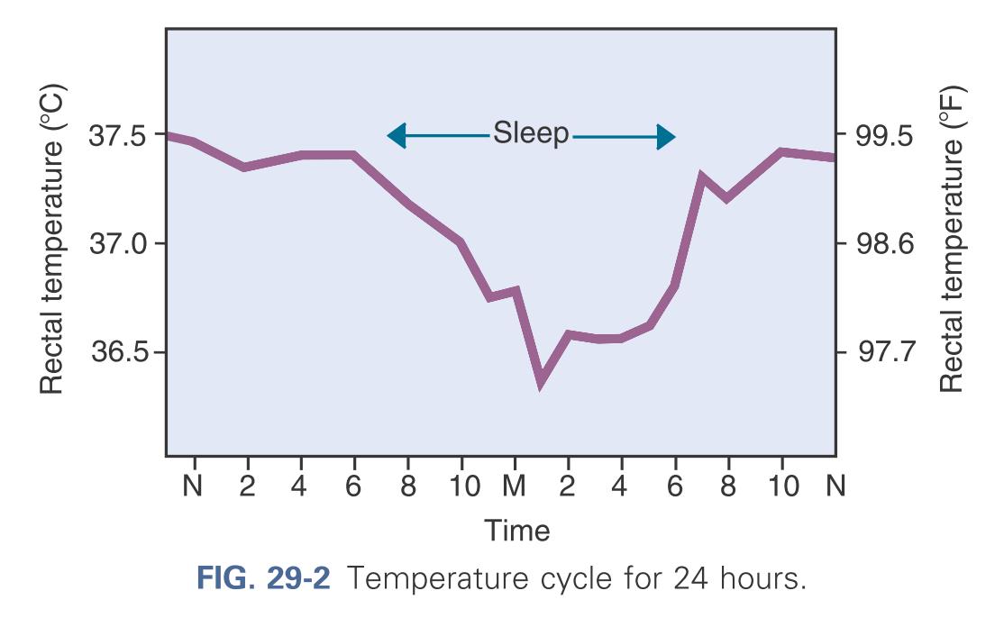 Temperature cycles for 24 hours