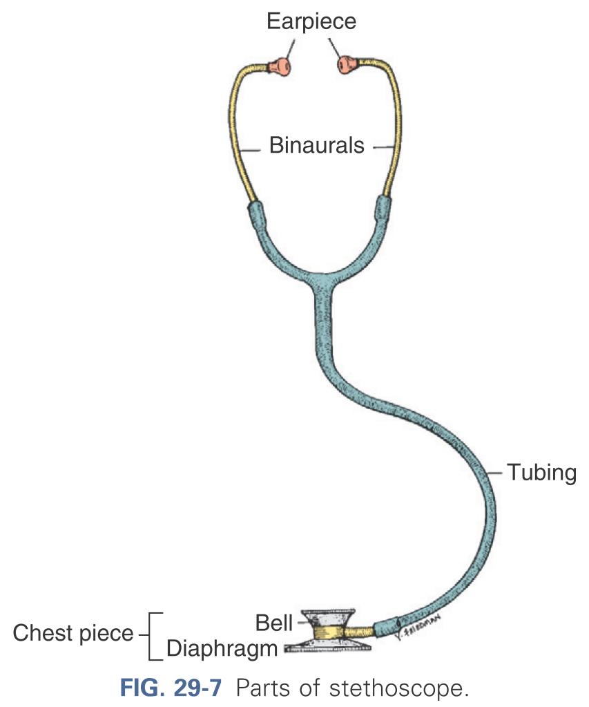 Parts of the stethoscope