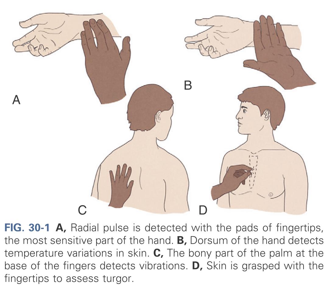 Hand sensory during examination