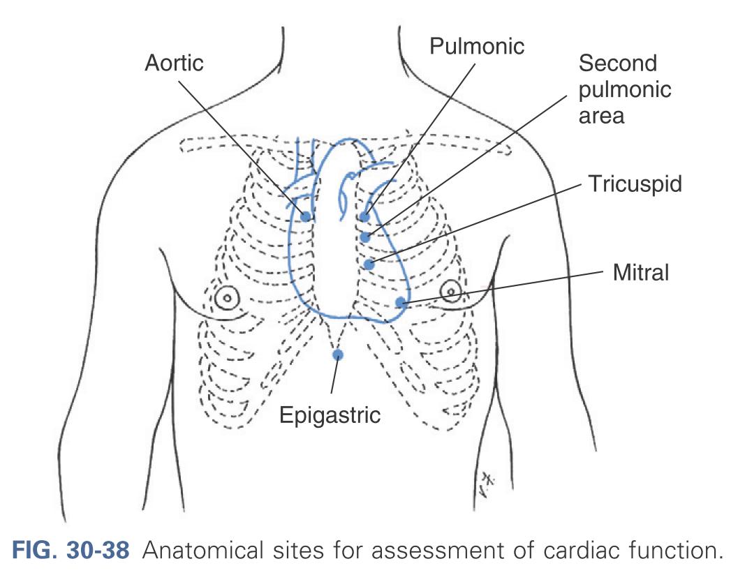 Anatomical sites for cardiac function