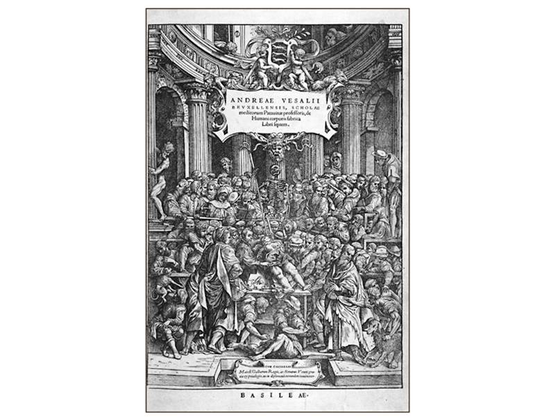 Vesalius’s De Humani Corporis Fabrica was an important early work on the human species. 