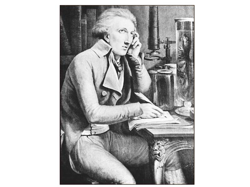 Georges Cuvier 