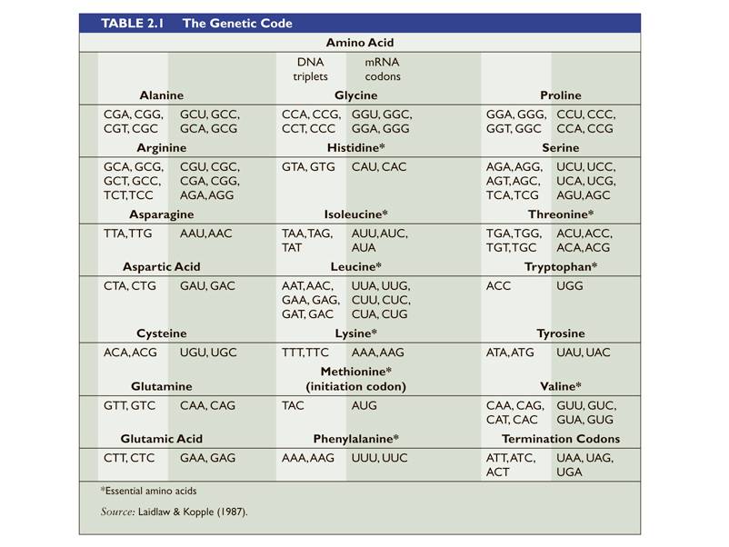 Amino acids chart