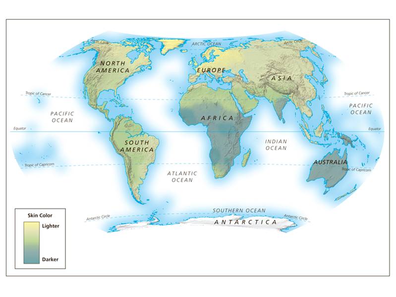 World map of the distribution of skin color. 