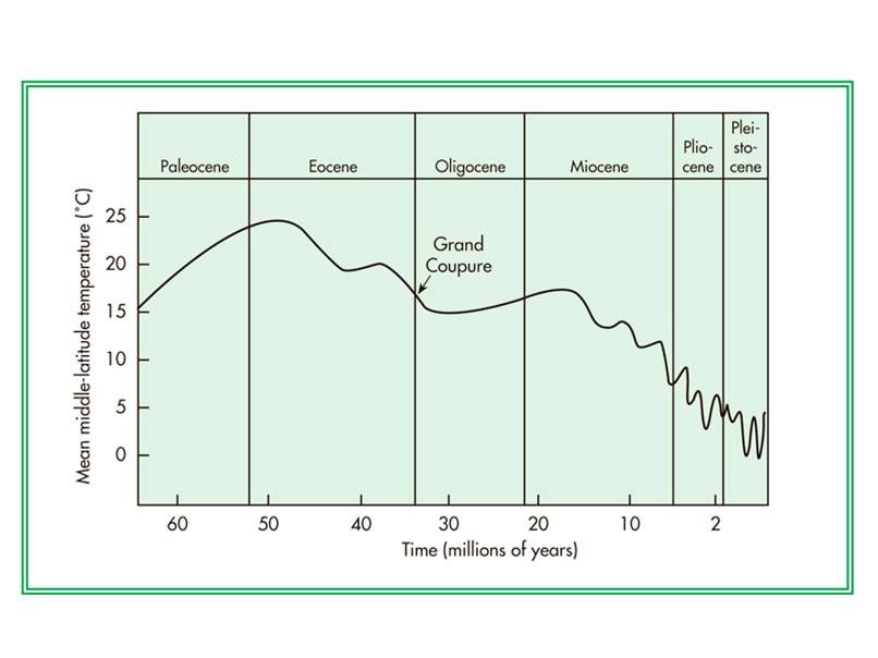 Climate has cooled substantially during primate evolution. 