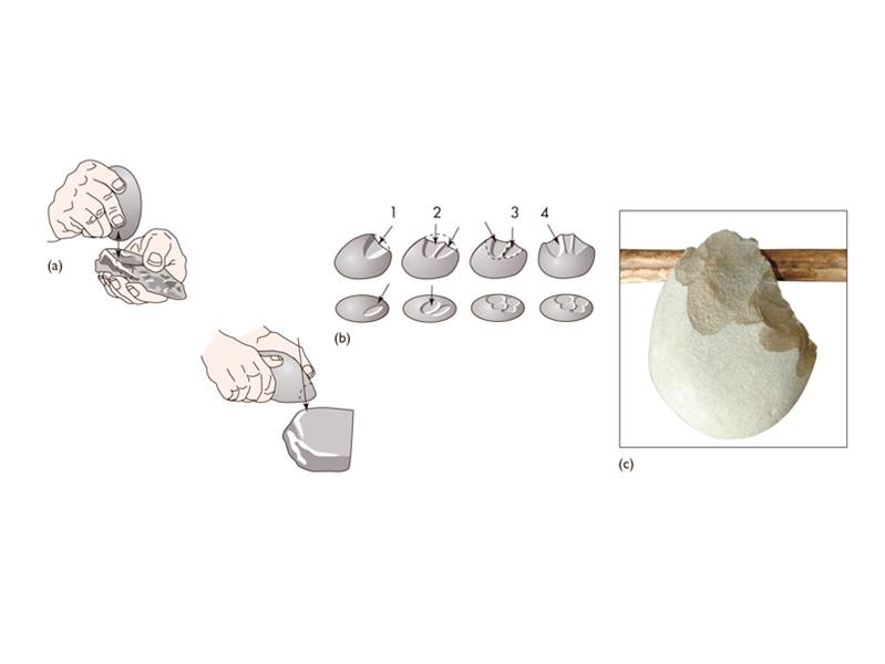 Oldowan tools are simple flake tools struck from a core.  