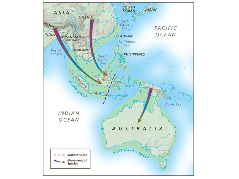 Landbridge connections between continental Asia and Indonesia during glacial periods extend as far a