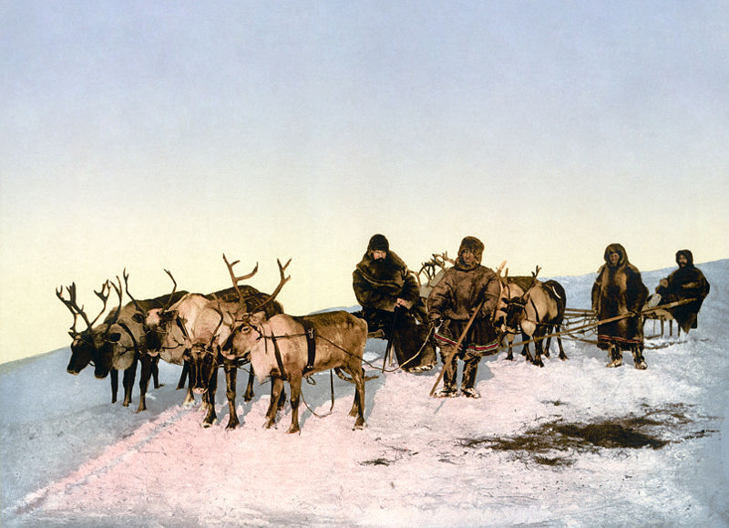 A reindeer sled, Arkhangelsk, Russia. Late nineteenth-century photochrom.