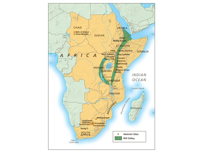 Geographic distribution of early hominins. 