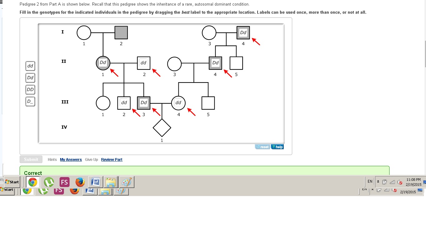 Mastering Genetics Chap 2