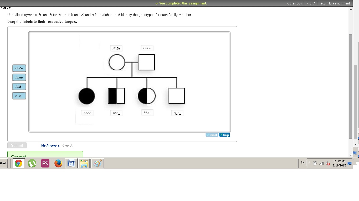 Mastering Genetics Chap 2