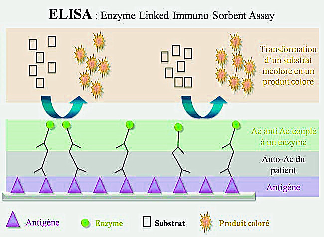 ELISA technology