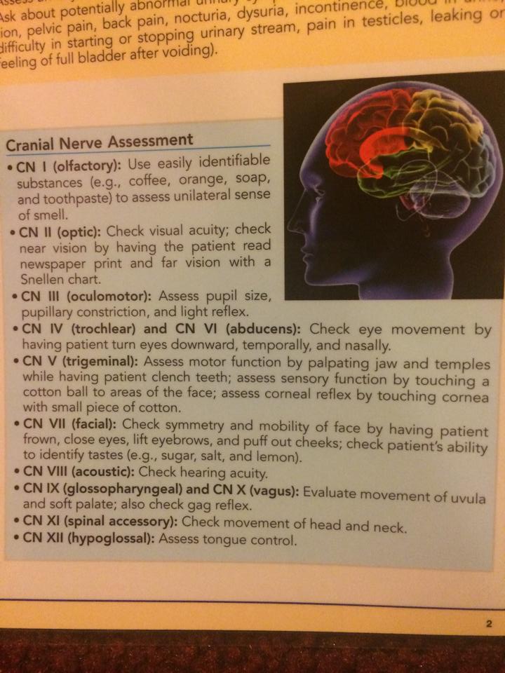 Cranial nerves assessment