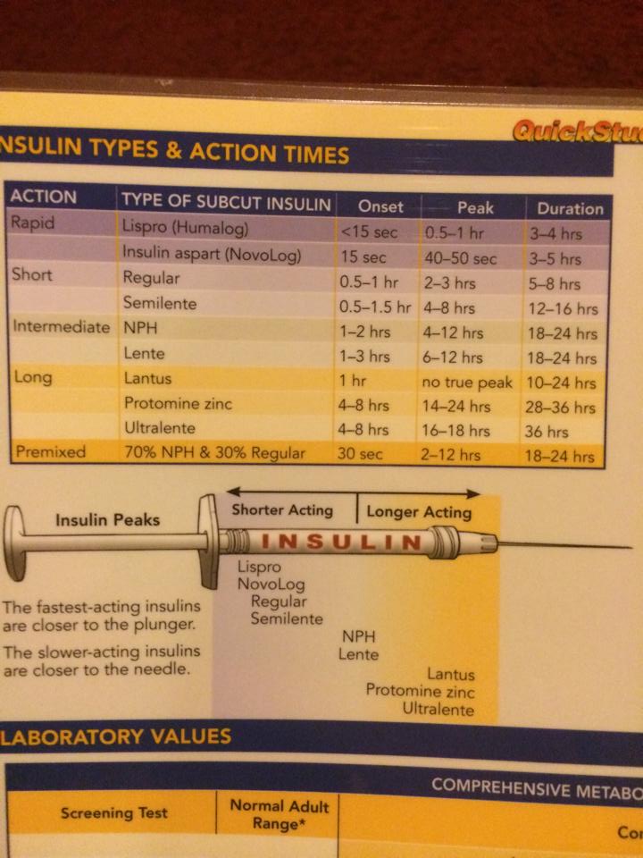 Insulin Types and action times