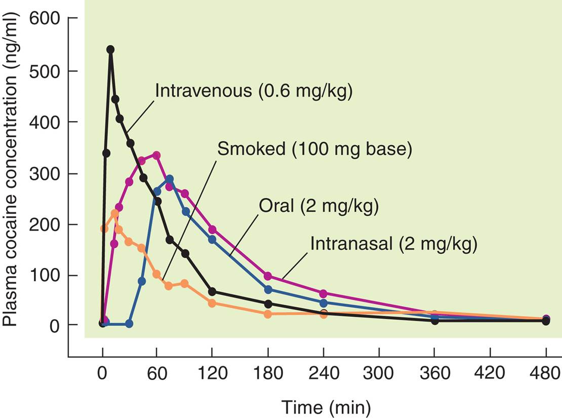 Cocaine in Blood Plasma 