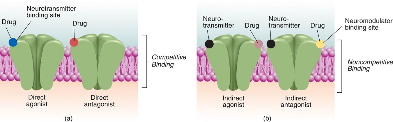 Drug Actions at Binding Sites 