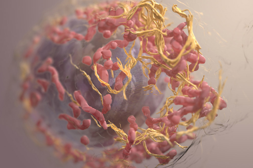 3D image of a melanoma cell