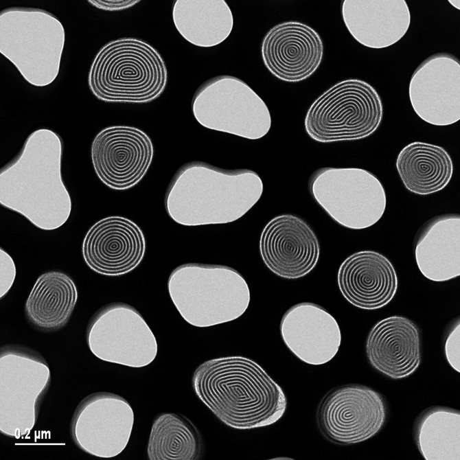 Surfactant-tempalted mesostructured silica