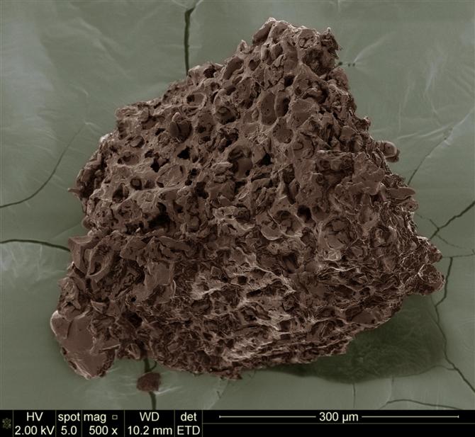 Ground coffee magnified