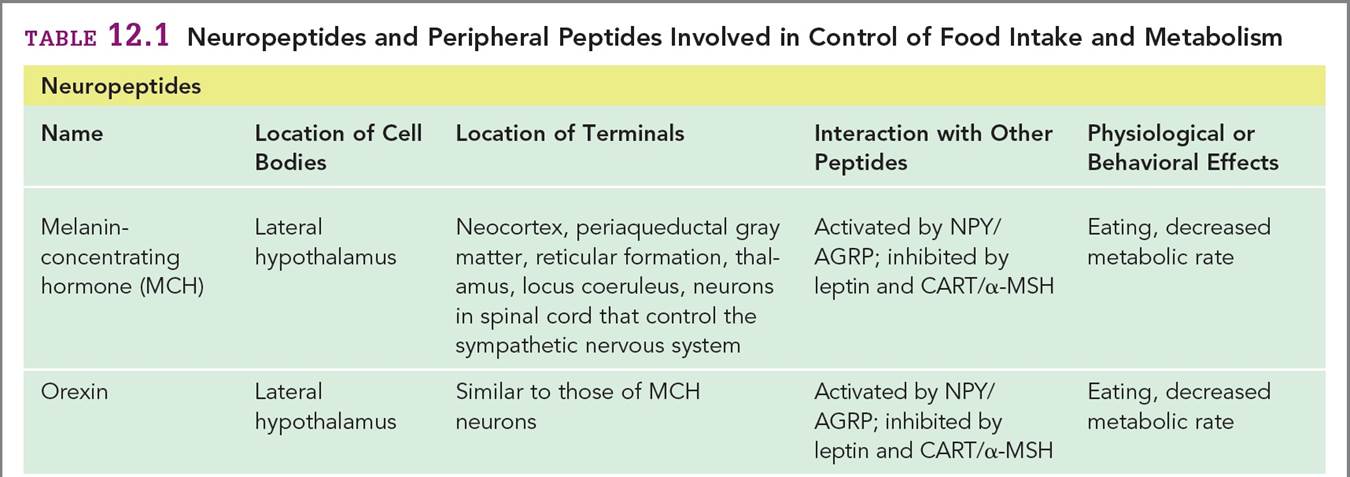 Neuropeptides and Peripheral Peptides Involved in Control of Food Intake and Metabolism