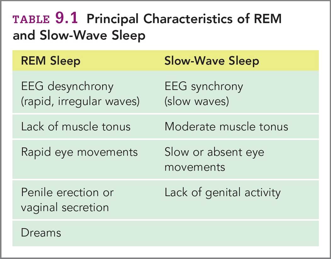 Principal Characteristics of REM and Slow-Wave Sleep