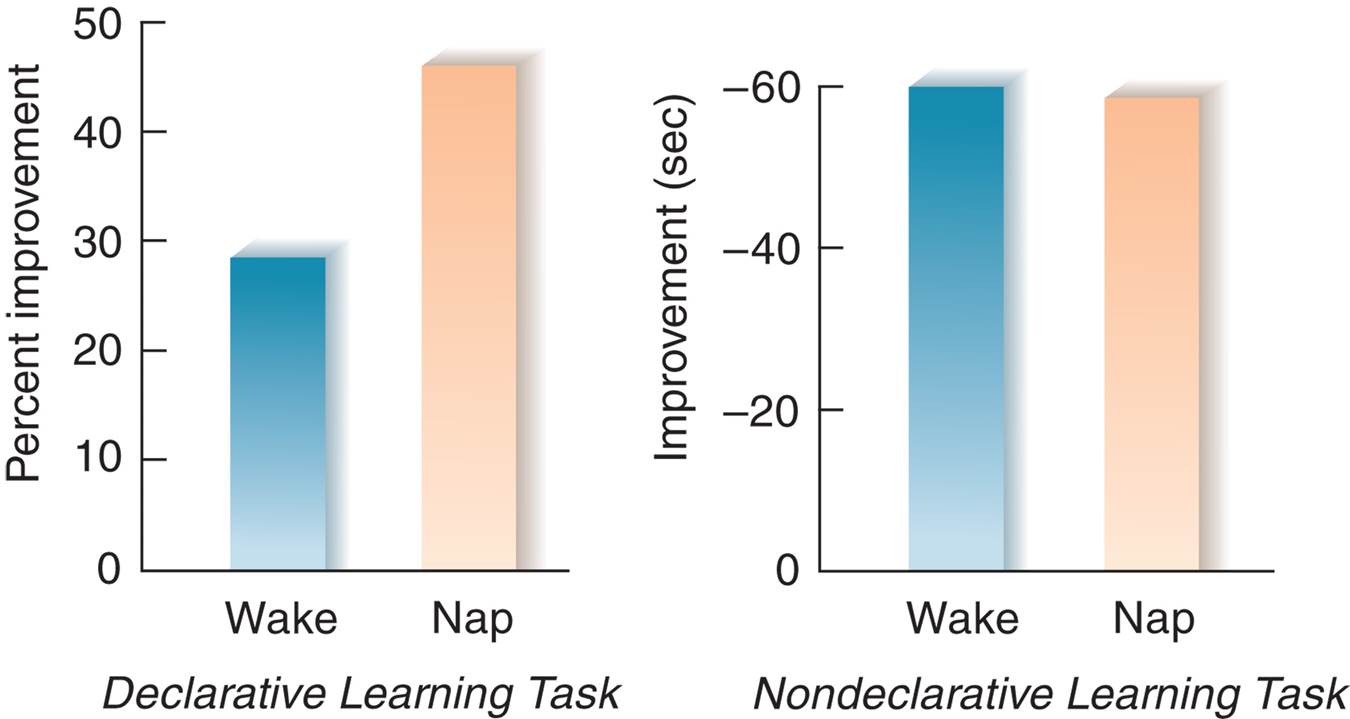 Slow-Wave Sleep and Learning 