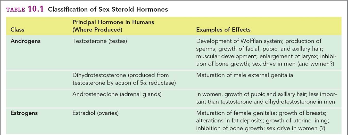 Classification of Sex Steroid Hormones