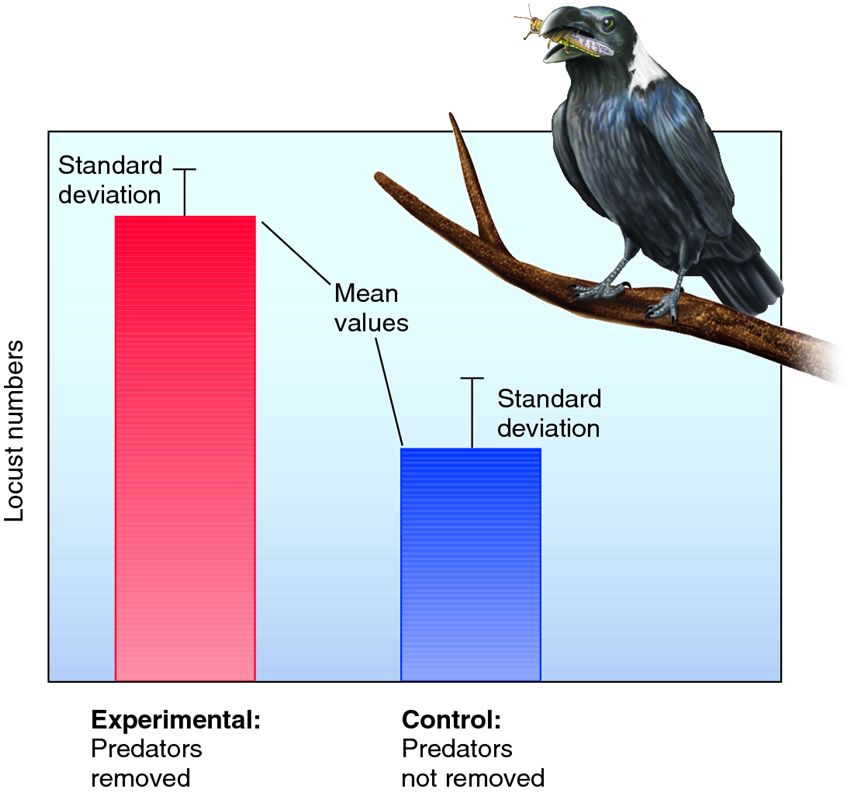 Graphic display of hypothetical results of a predator removal experiment.