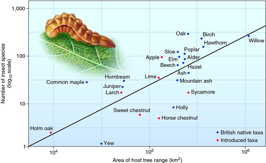 Insect species diversity on British host trees supports the area hypothesis.