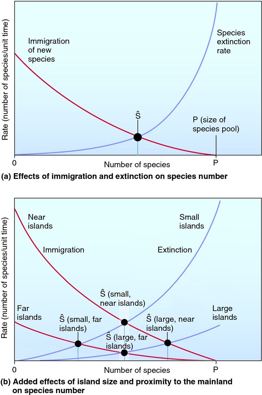 MacArthur and Wilson's theory of island biogeography.