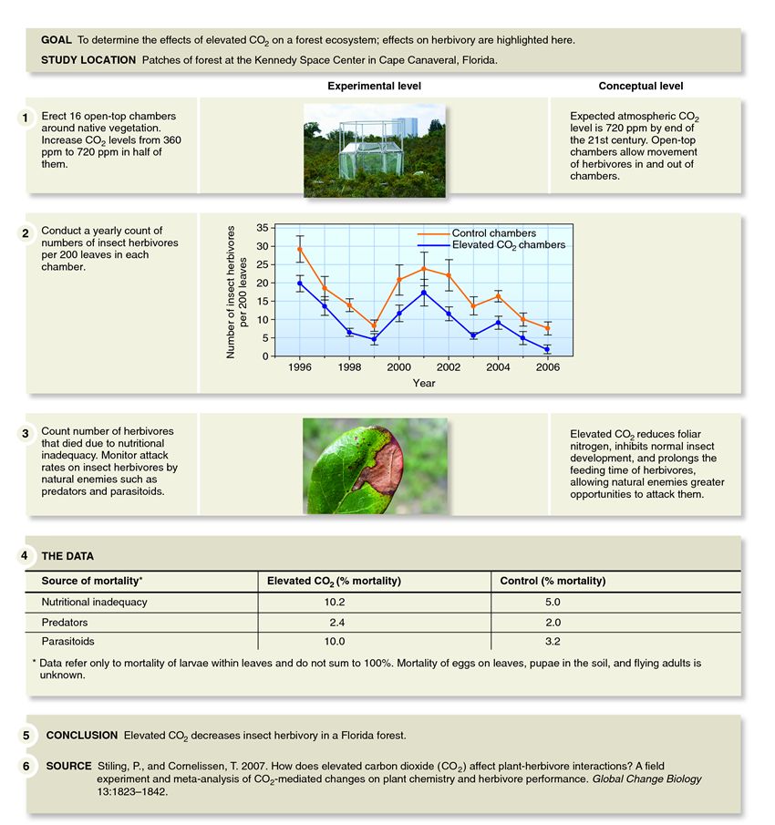 The effects of elevated atmospheric CO2 on insect herbivores.