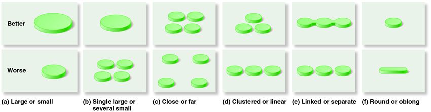 The theoretical design of nature reserves, based on the tenets of island biogeography.