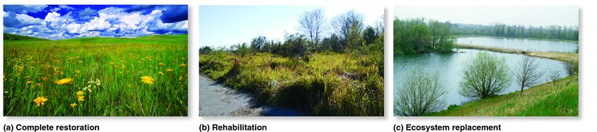 Habitat restoration.