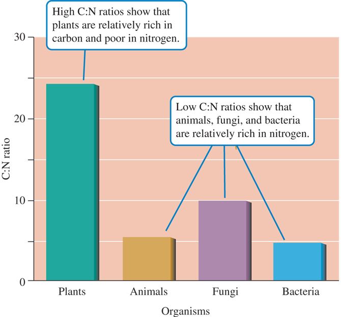 On average, the ratio of carbon to nitrogen is much higher in terrestrial plants than in other major