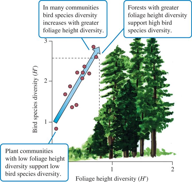 Foliage height diversity and bird species diversity (data from MacArthur and MacArthur 1961).