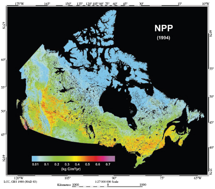 Estimated terrestrial net primary productivity across Canada.