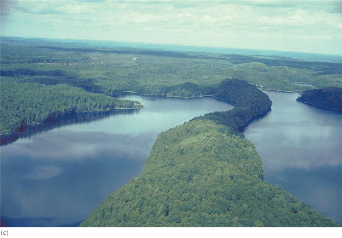 Impacts of glaciers on landscapes can be seen as (a) a U-shaped valley in Labrador, (b) a drumlin fi