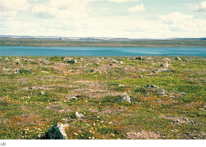 Impacts of glaciers on landscapes can be seen as (a) a U-shaped valley in Labrador, (b) a drumlin fi