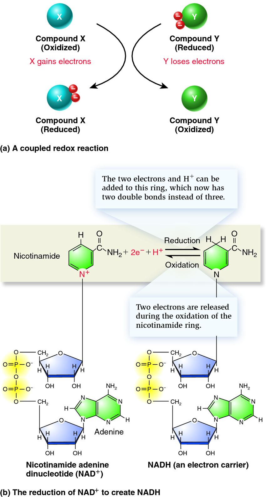 Redox reactions