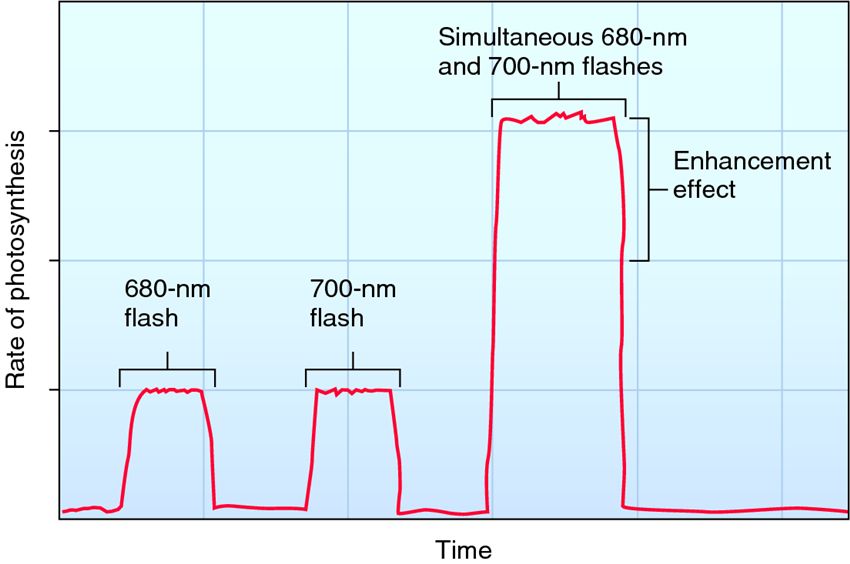 The enhancement effect observed by Emerson.