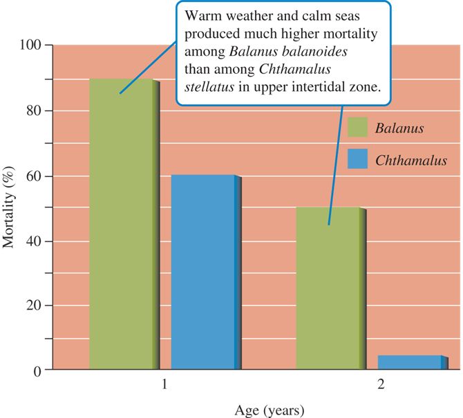 Barnacle mortality in the upper intertidal zone