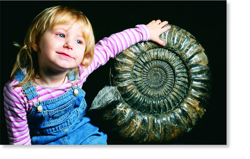 A fossil ammonite.