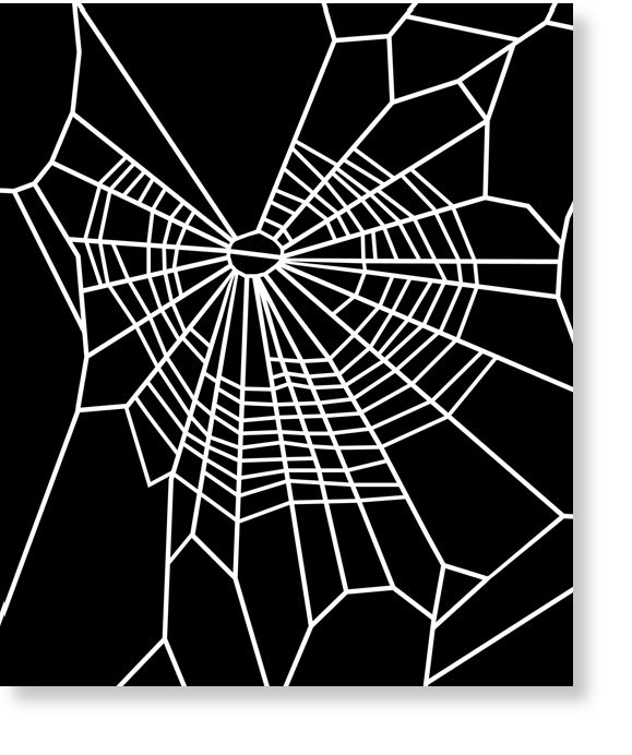 Web spun by spider fed with prey containing marijuana