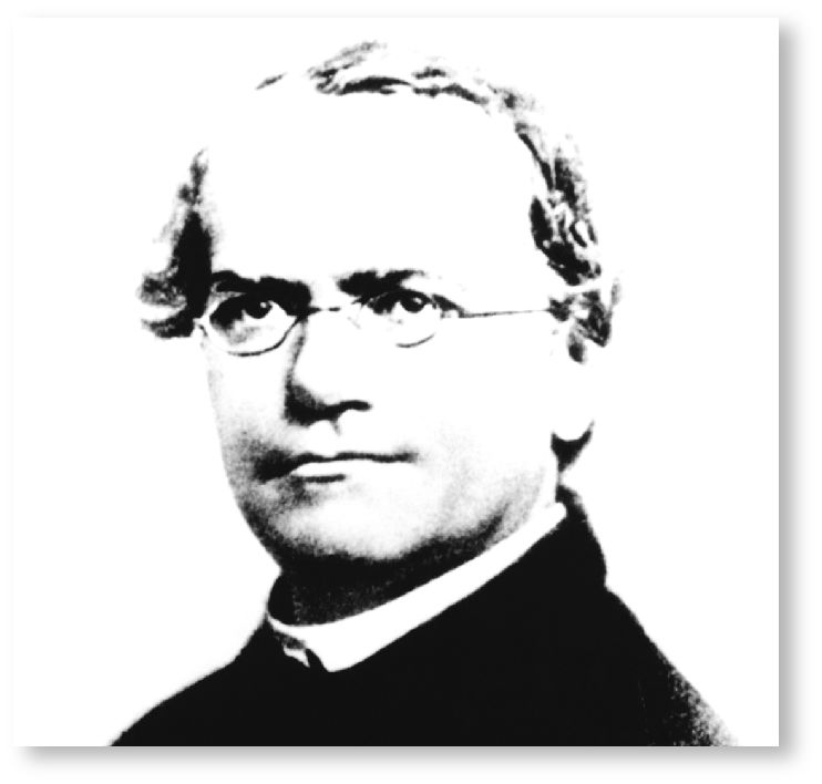 Gregor Johann Mendel, the father of genetics