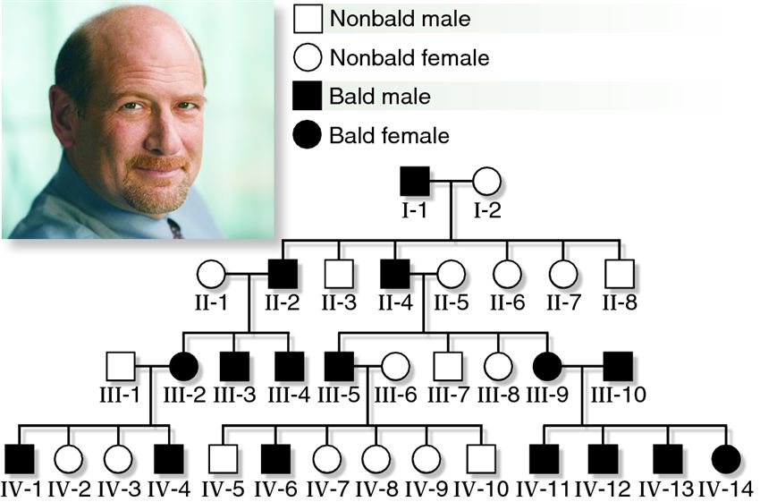 Pattern baldness