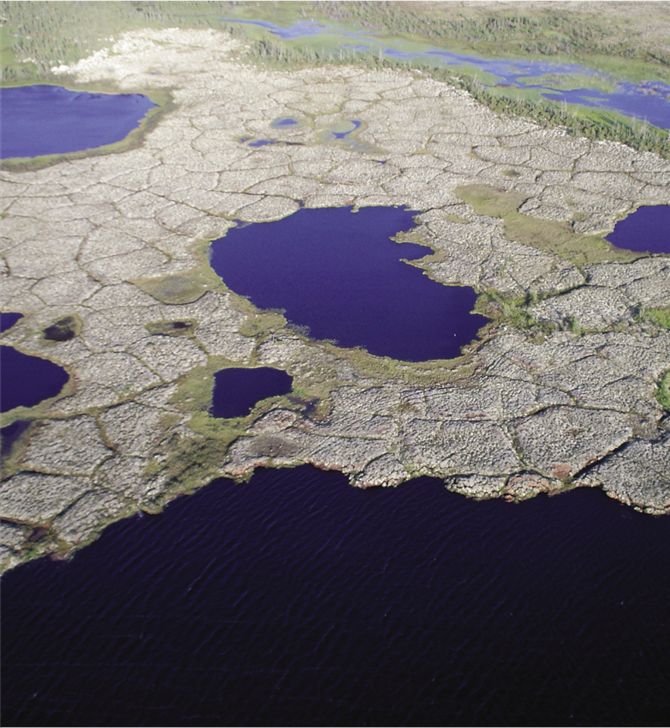 Ice-wedges form netlike polygons on the surface of the tundra, aerial photo of polygonal peat platea