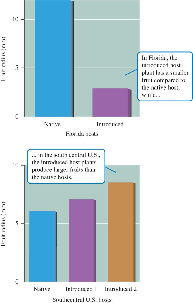 Comparison of the radius of fruits produced by native and introduced species of Sapindaceae