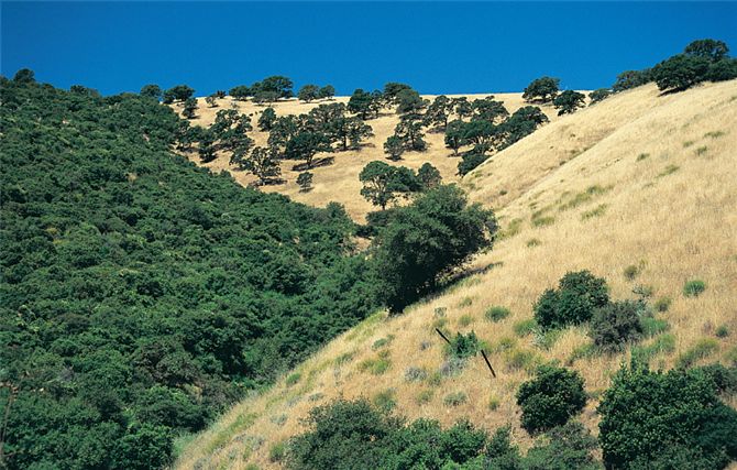 The north-facing slope at this site supports a Mediterranean woodland, while the vegetation on the s