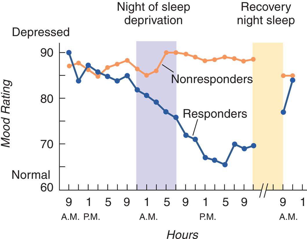 Antidepressant Effects of Sleep Deprivation 